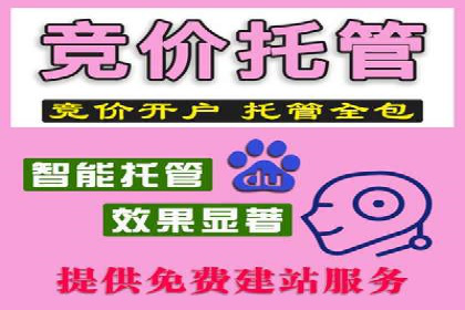 优化SEM推广效果：成功案例启示